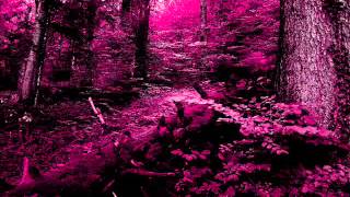 CARTA DE LUTO - ALEGRES DE TERAN