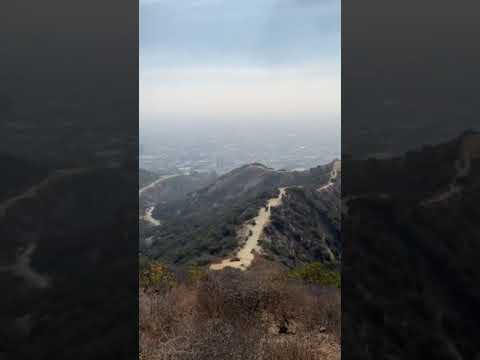 Luz María Briseno “Un paso a la vez”.