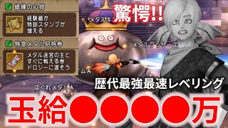 【DQ10】史上最高効率レベル上げを試したら玉給がやばいことになったんだがｗｗｗ【ドラクエ10】
