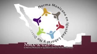 Norma Mexicana en Igualdad Laboral y no Discriminación