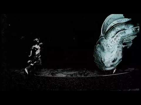 Brutal Psytrance Mix 1