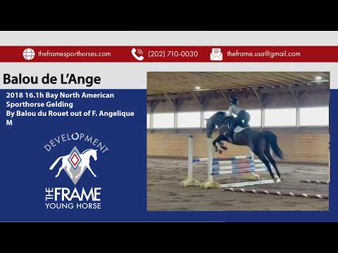 Balou video 1
