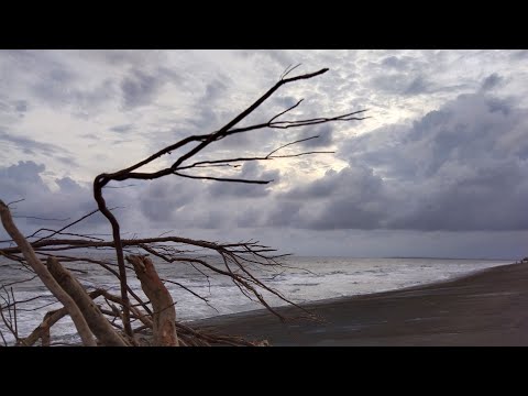 Sea beach 🏖️ Bakkhali..