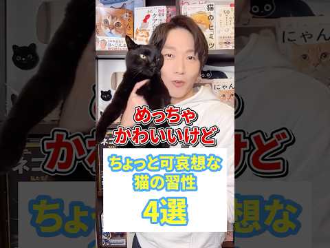 かわいいけどちょっと可哀想な猫の習性４選 #猫 #猫好きさんと繋がりたい #ねこ