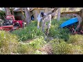 The Backyard Was SO BAD We Nearly Quit But Look At The Ending
