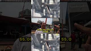 Download lagu MURAI BURSA 150 JUTA KOK GA DI JUAL ⁉️😱 INI GILAAAAA  #kicaumania #burung #muraibatu mp3 Download lagu MURAI BURSA 150 JUTA KOK GA DI JUAL ⁉️😱 INI GILAAAAA  #kicaumania #burung #muraibatu mp3