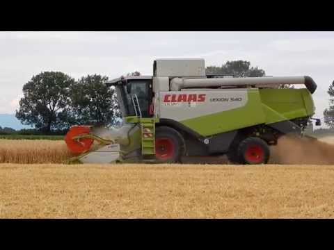 Žatva jačmeňa / Barley harvest - Claas - JCB - John Deere