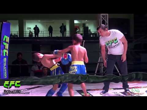 Evolution FIGHT NIGHT 38 JUNIORS