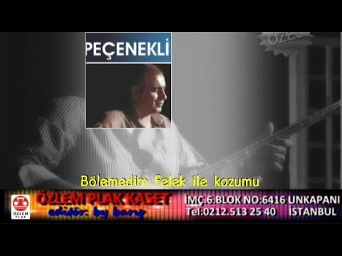 Pecenekli Süleyman -  Bölemedim Felek İle Kozumu (uzun hava)