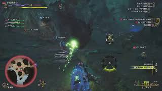 モンハンワイルズ　練度高める放送