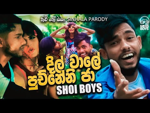 parody songs of dilwale parody songs of dilwale