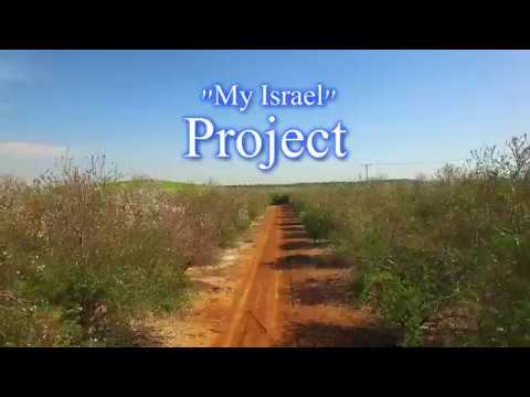 "My Israel" Project 4K - Kibbutz Kfar Menachem and almond orchards