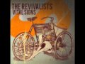 The Revivalists - Catching Fireflies