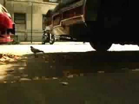 Lily Holbrook: New Album Coming Soon!