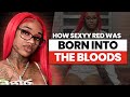 How Sexyy Red Was Born Into The Blood Gang