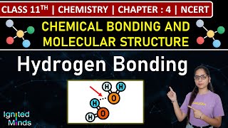 Class 11th Chemistry | Hydrogen Bonding | Chapter 4: Chemical Bonding & Molecular Structure | NCERT