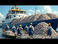 Fishermen Hunt Mackerel In The Middle Of The Sea Trawlers Swallow Hundreds Of Tons Of Mackerel