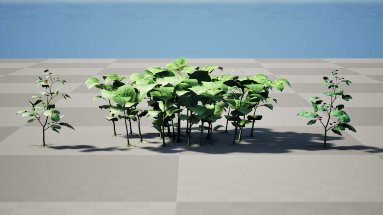 Ullucus Tuberosus Vegetable Plants 3D Model