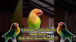 Download lagu 1 Jam Non-stop Terbaik..!! Masteran Lovebird Jantan Konslet Minor Tek Tek Tek Tek mp3