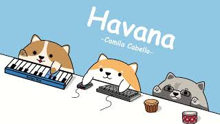 Camila Cabello – Havana (cover by Bongo Dog) 🐶