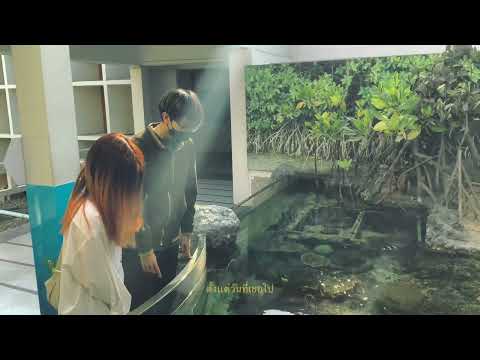 ให้กอดของฉันบอกทุกอย่าง ( Just So You Know ) -Tilly Birds [ Unofficial MV ]