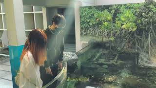 ให้กอดของฉันบอกทุกอย่าง (Just So You Know) – Tilly Birds