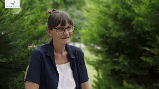 Hvad man se og underholde sig med, mens man er i Budapest til tandbehandling