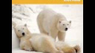 Bearfoot Bluegrass - Fishtrap Joe