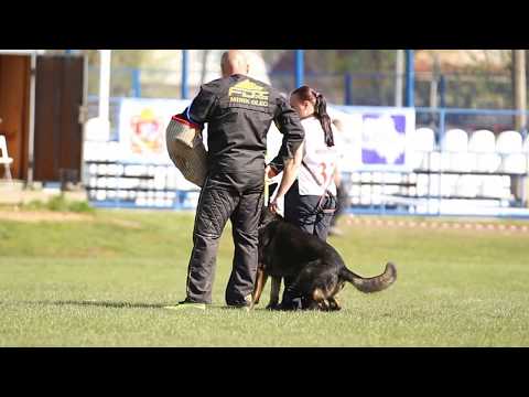 Vegard Last Hathy, IPO-3, C - 92