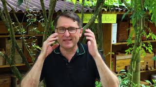 Miniatura do vídeo