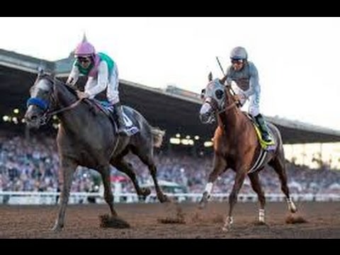 2016 Horse Racing Breeders Cup Classic