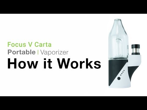 Focus V Carta Tutorial