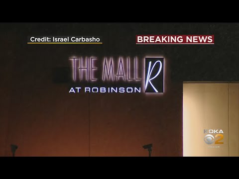 Domestic Incident Leads To Panic At Mall At Robinson