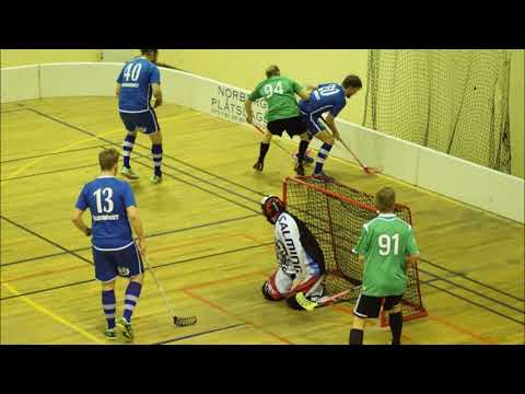 2018 02 09  Skogs Tillberga