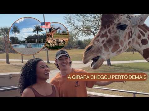 Minha rotina em Orlando: Academia, Piscina, Hard Rock e um SAFARI 🦒