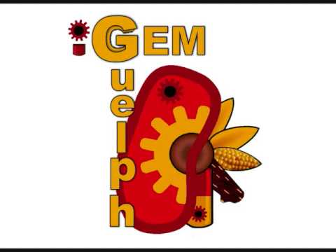 iGEM Guelph 2008 on 1460 CJOY AM
