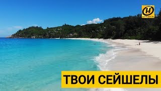 Стоимость рыбалки на сейшелах в октябре