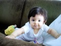 Galinha Pintadinha AVI