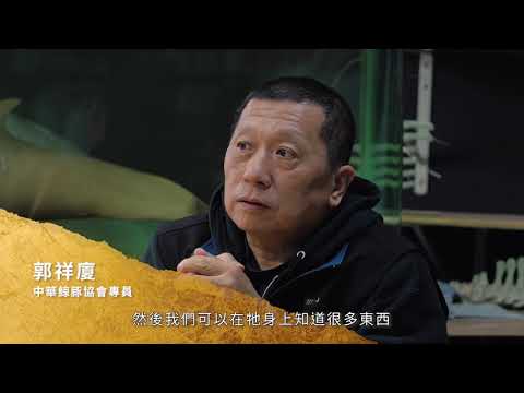 林業及自然保育有功三分鐘精華版