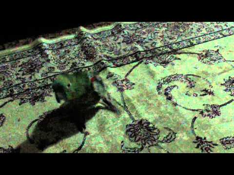 Felguk vs Example - Plastic Smile