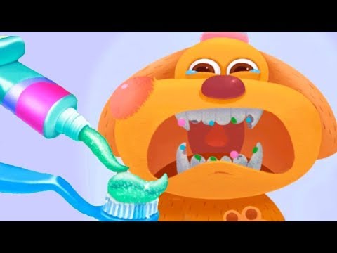 Furry Pet Care In Libii Animal Hospital - Play Fun Pet Animal Care