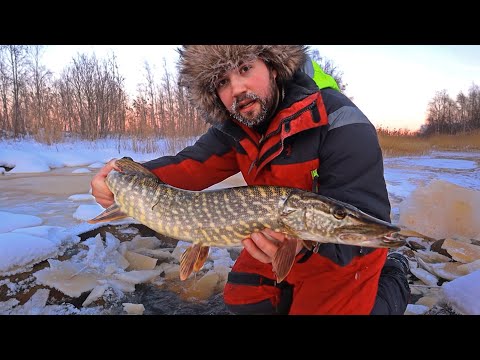 BOTTOM DAM KILLS AGAIN - RESCUES LIVE FISH - FISH DEATHS BEGINS 