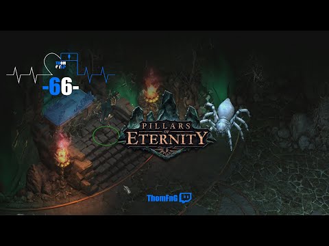 ThomFnG - Pillars of Eternity - The White March -- Part 66