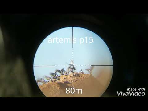 artemis p15 hunting