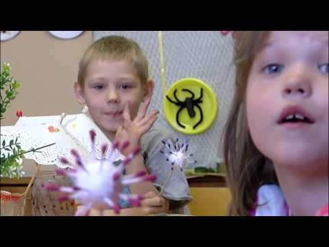 Aiz simtā kilometra. Pededze (13.05.2017.)