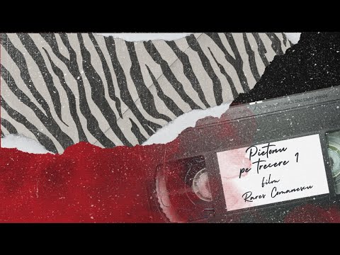 PIETONU - PeTrecere 1