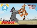 The Mini Adventures of Winnie the Pooh | Tigger and Eeyore | Disney Junior UK