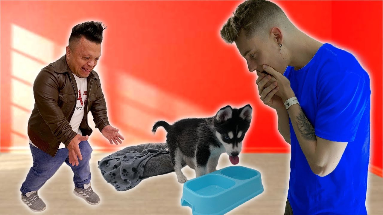 Watch EL ENANO ME REGALA UN CACHORRO !! *ME ENAMORO* Exi Now EL ENANO ME REGALA UN CACHORRO !! *ME ENAMORO* Exi