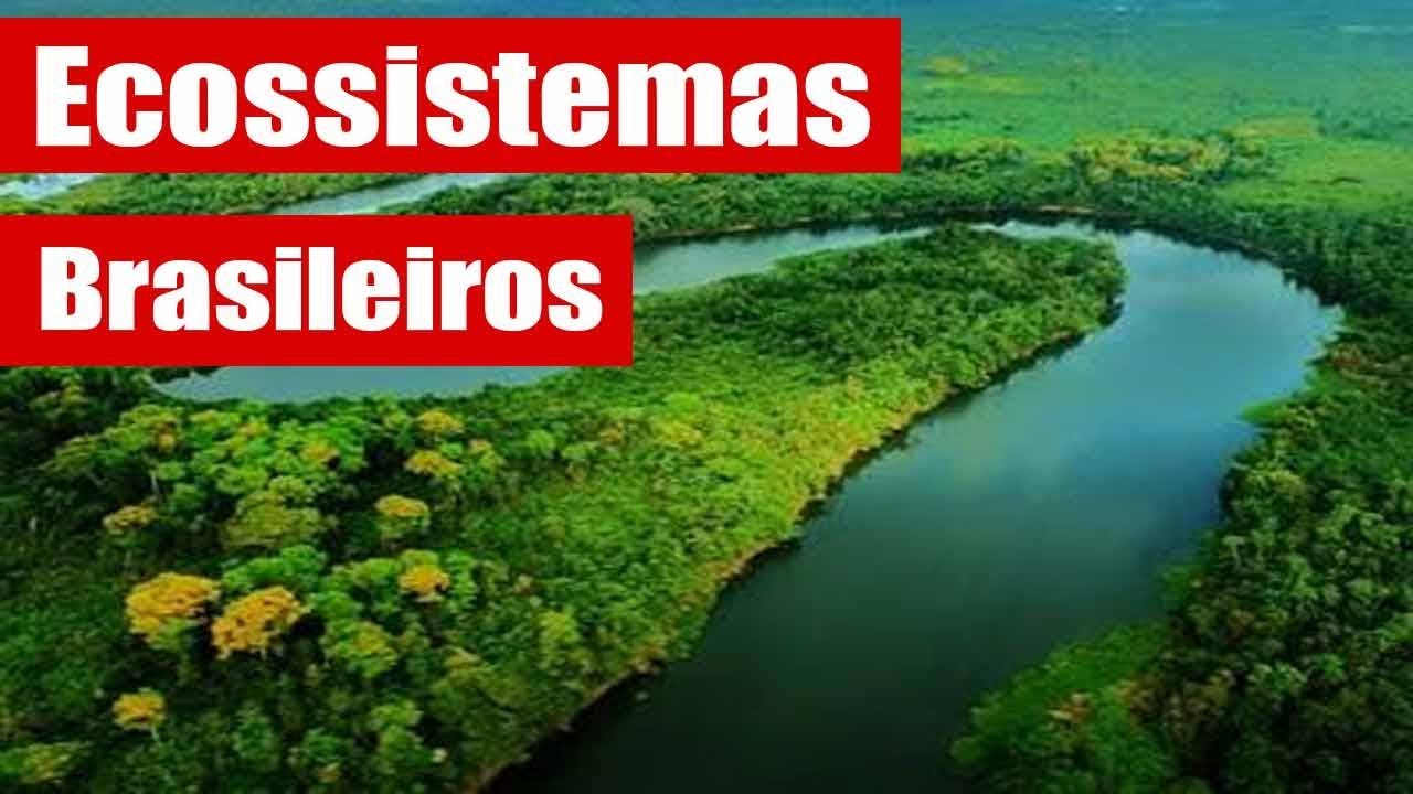 Principais ecossistemas brasileiros   Resumos suas características gerais