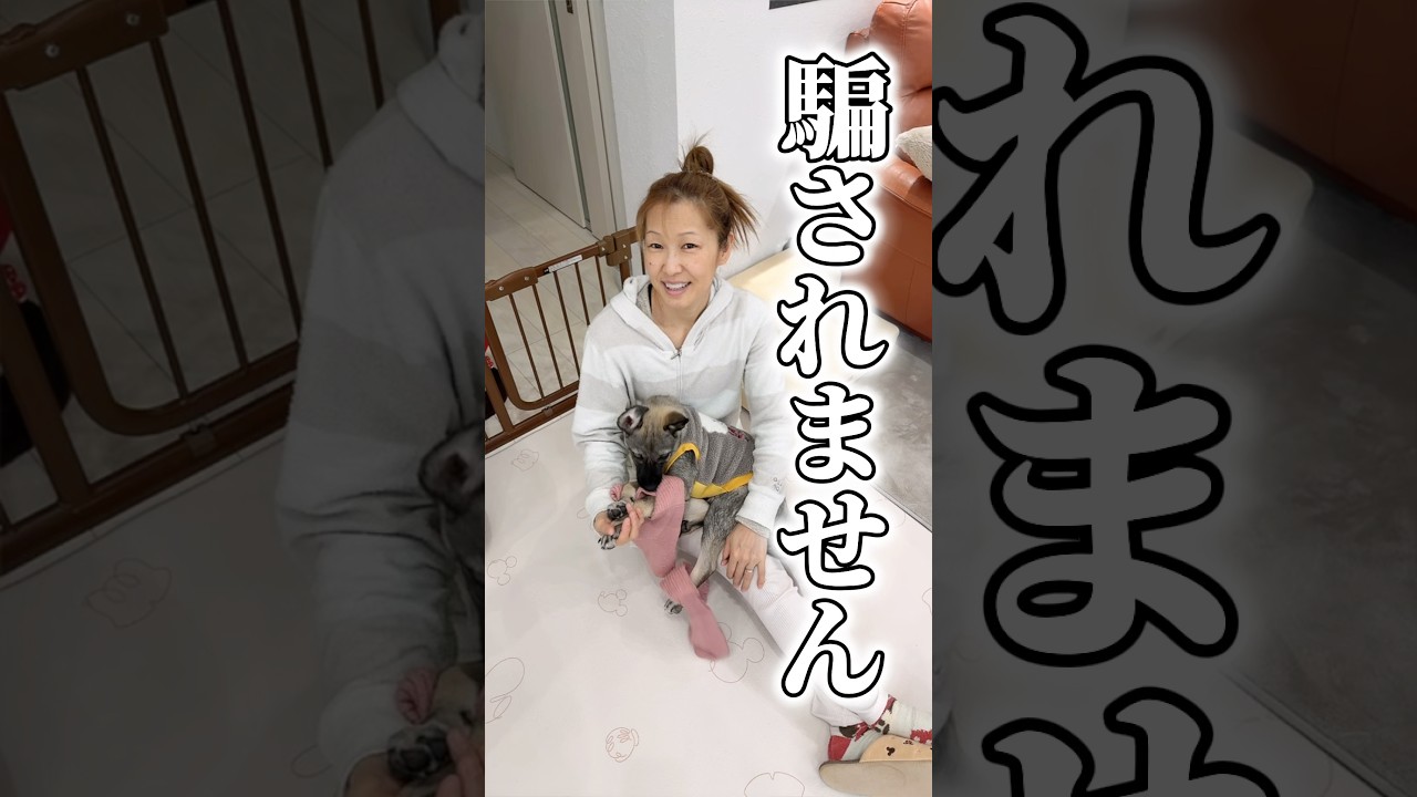 エイプリルフールと見せかけて本当に渡してみた